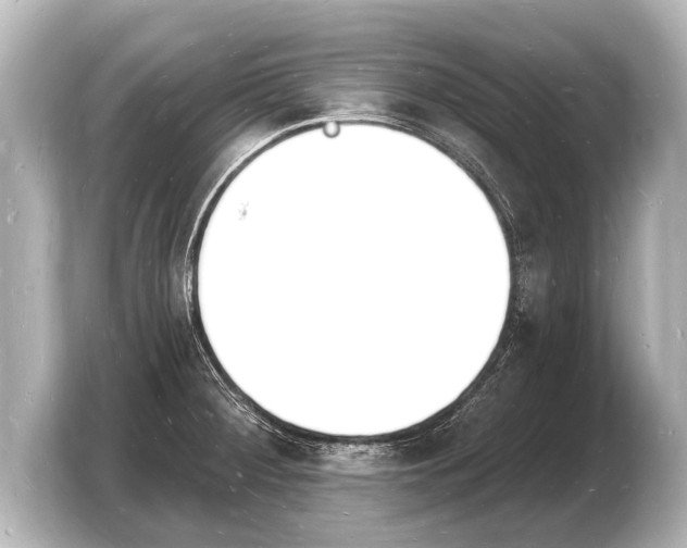 X0000103971284200810031217