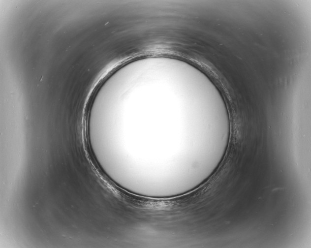 X0000103971286200810031217