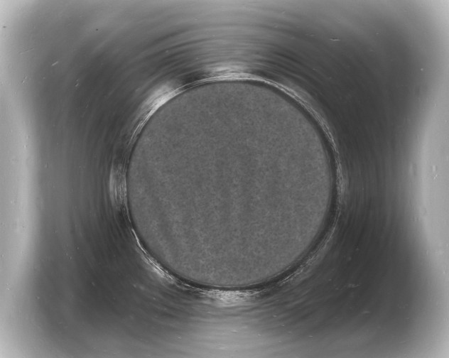 X0000103971289200810031217