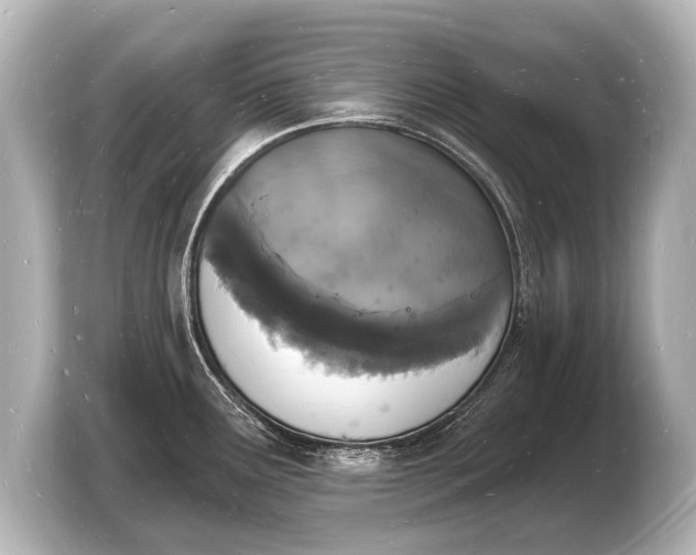 X0000103971291200810031217