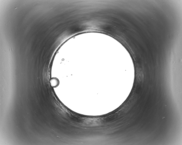 X0000103971292200810031217