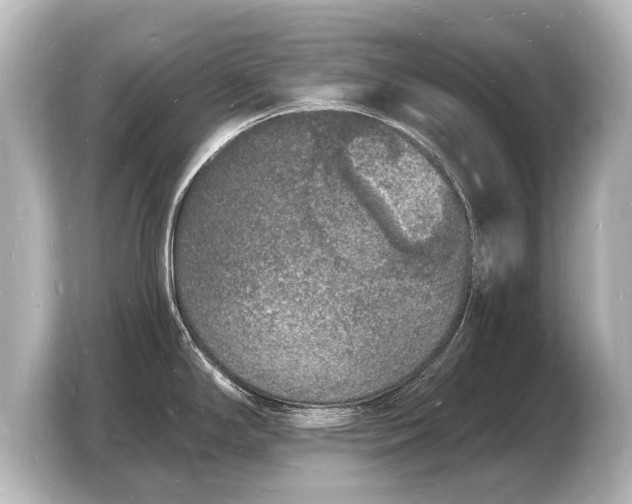 X0000103971294200810031217