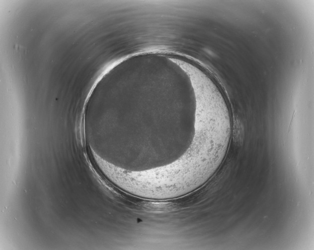 X0000103971295200810031217