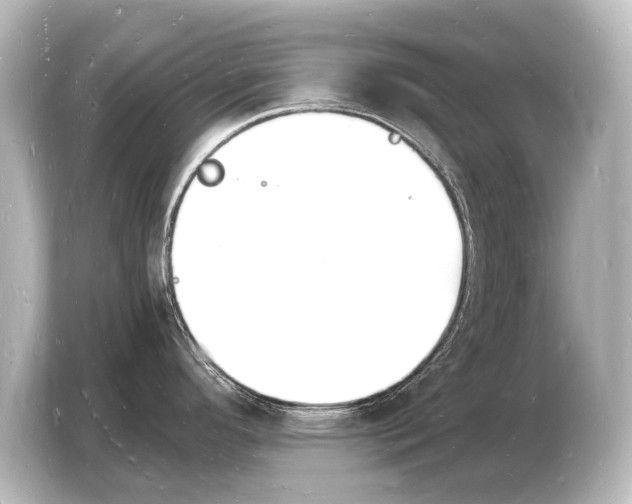 X0000103971296200810031217