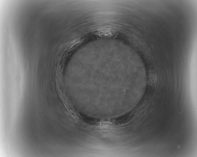 X0000103971297200810031216