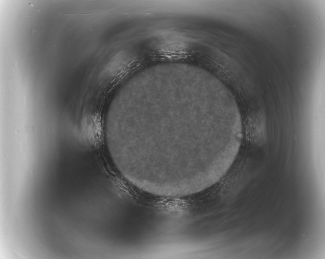 X0000103971298200810031216