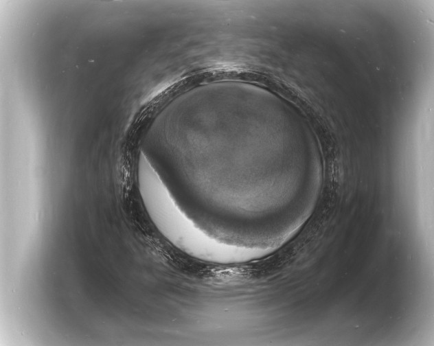 X0000103971303200810031216