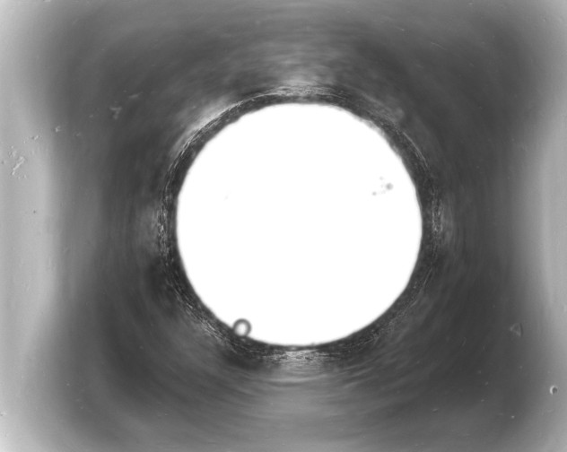 X0000103971304200810031216