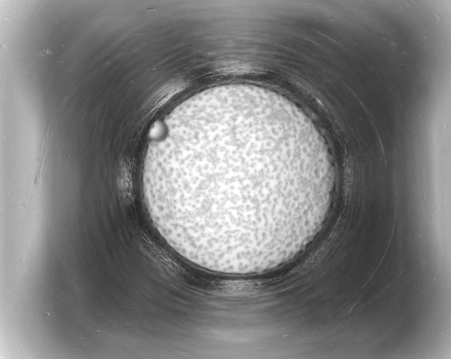 X0000103971305200810031216