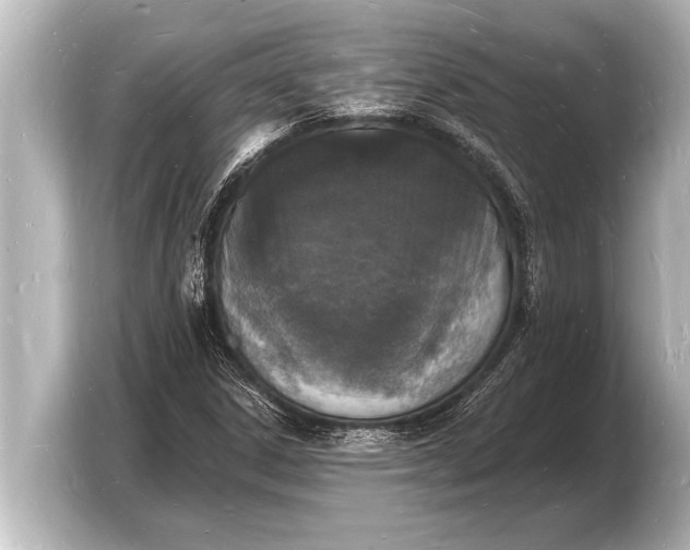 X0000103971306200810031216