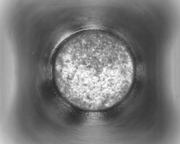 X0000103971310200810031216