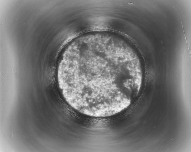 X0000103971314200810031216