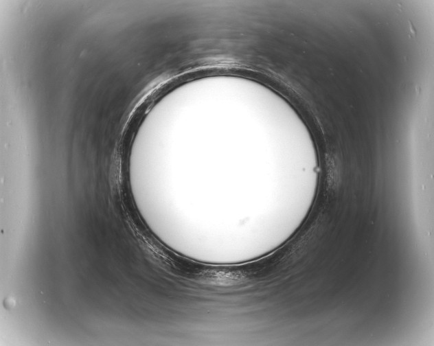 X0000103971318200810031216