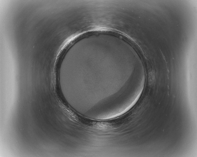 X0000103971319200810031216