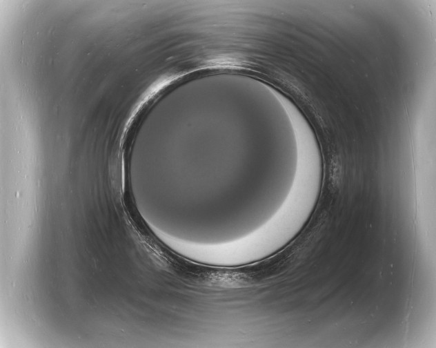 X0000103971323200810031216