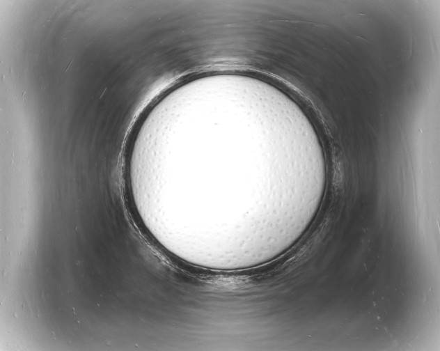 X0000103971325200810031216