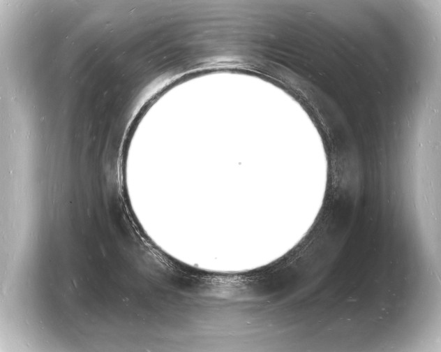 X0000103971328200810031216