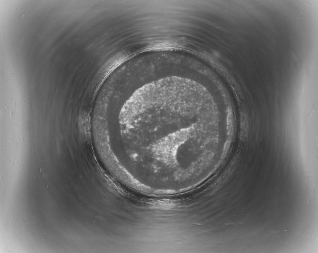 X0000103971329200810031216