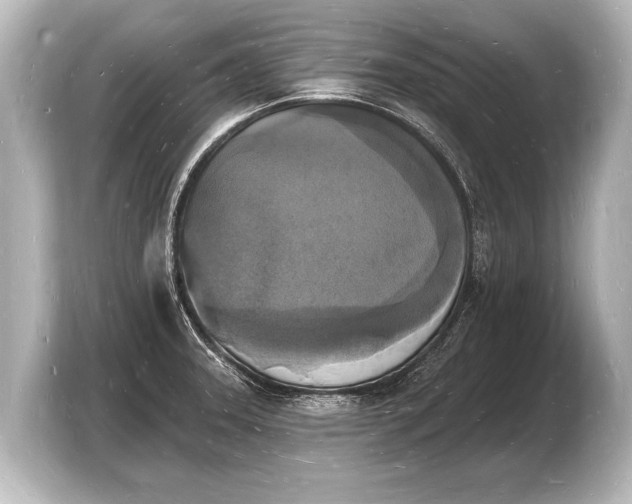 X0000103971331200810031216