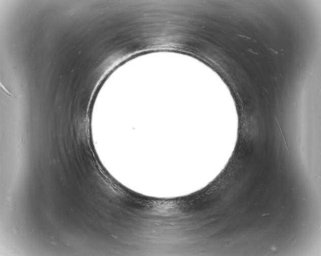 X0000103971332200810031216