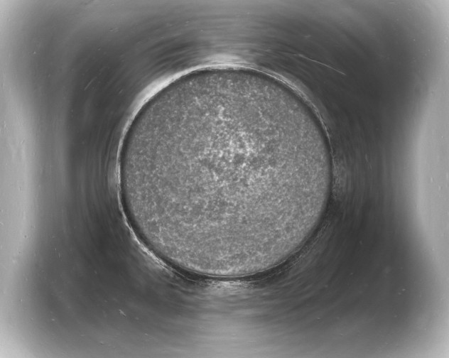 X0000103971335200810031216