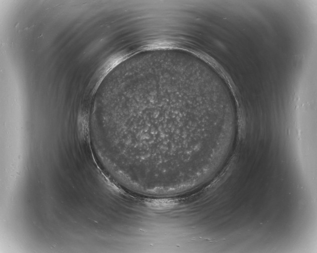 X0000103971337200810031216