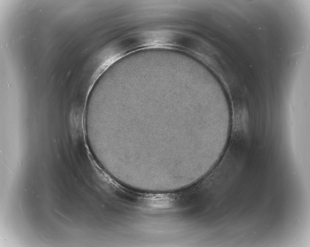 X0000103971338200810031217