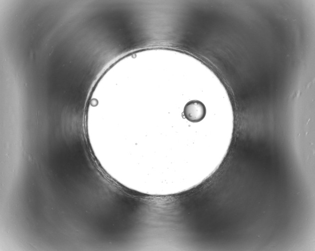 X0000103971340200810031217