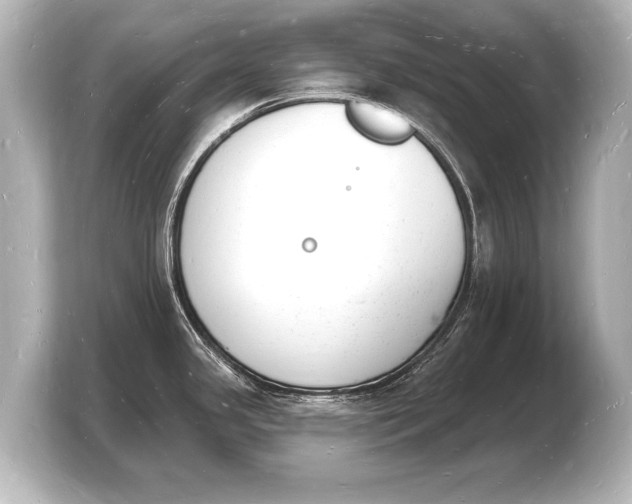 X0000103971341200810031217