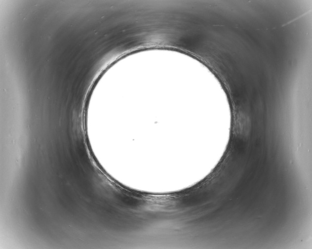 X0000103971342200810031217