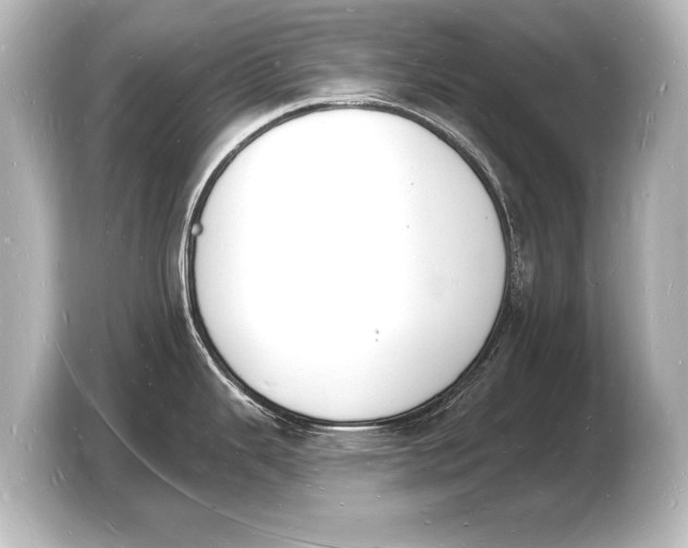 X0000103971343200810031217