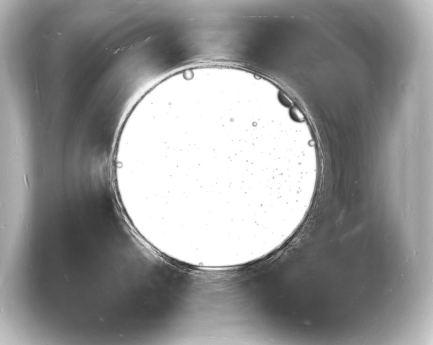 X0000103971344200810031217