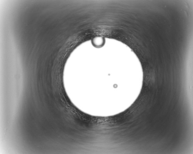 X0000103971345200810031216