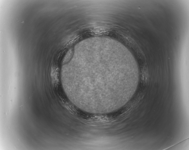 X0000103971346200810031216