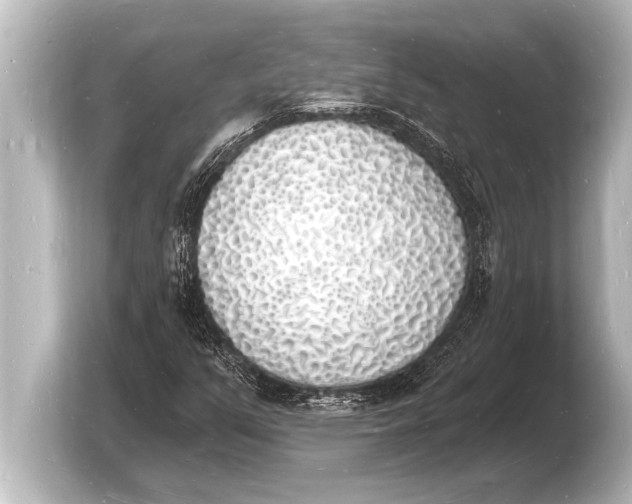 X0000103971351200810031216