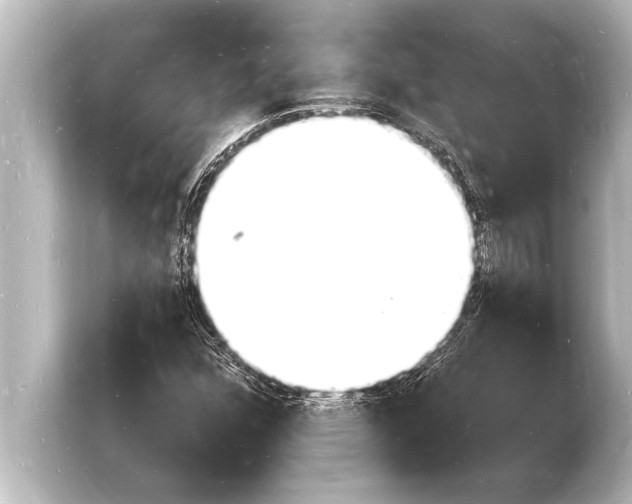 X0000103971352200810031216