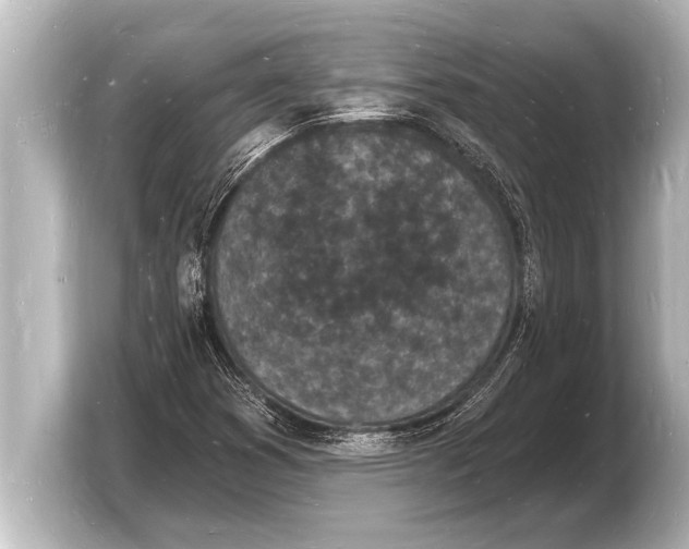 X0000103971353200810031216