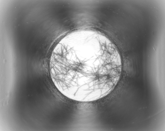 X0000103971356200810031216