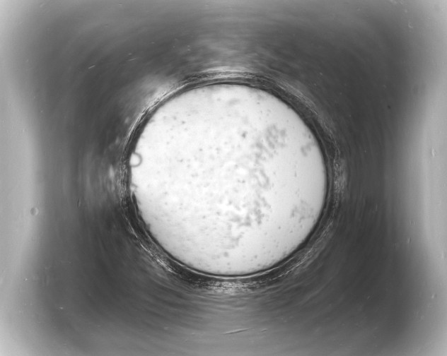 X0000103971357200810031216