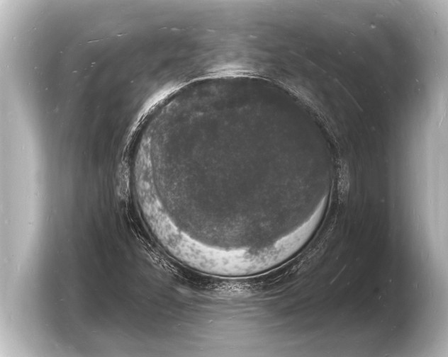 X0000103971358200810031216