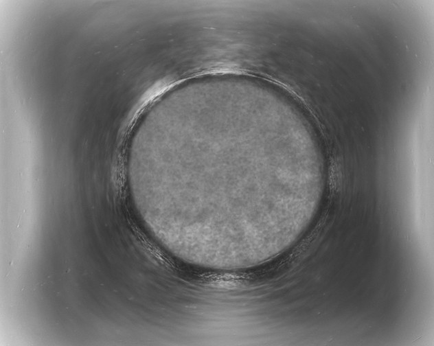 X0000103971359200810031216