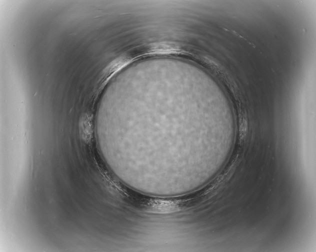 X0000103971361200810031216