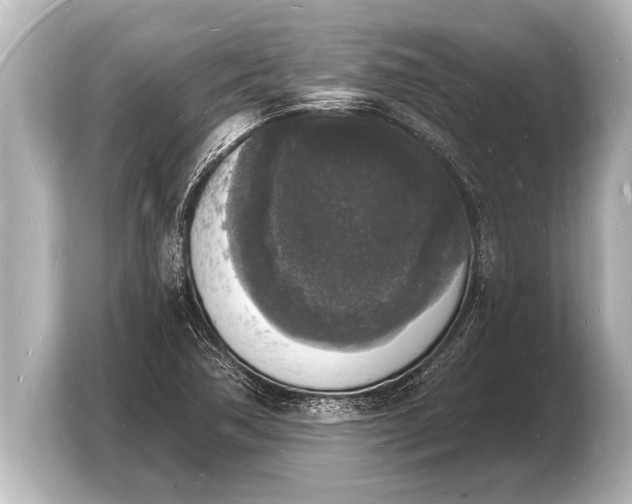 X0000103971362200810031216