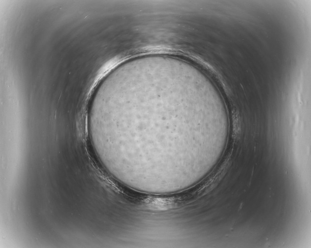 X0000103971365200810031216