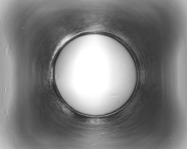 X0000103971366200810031216