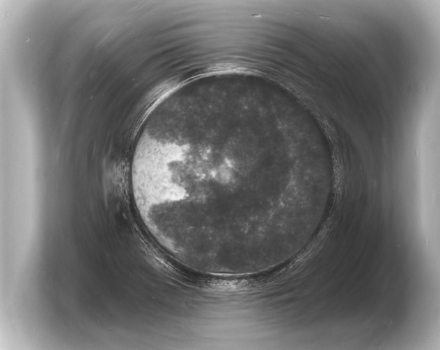 X0000103971369200810031216