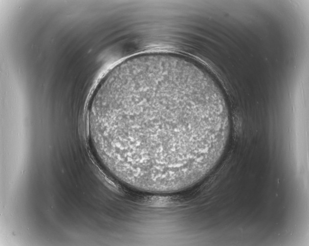 X0000103971371200810031216