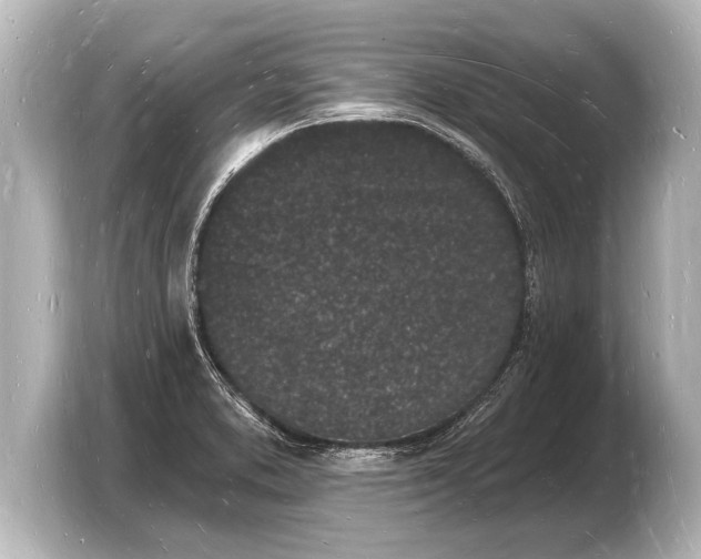 X0000103971373200810031216