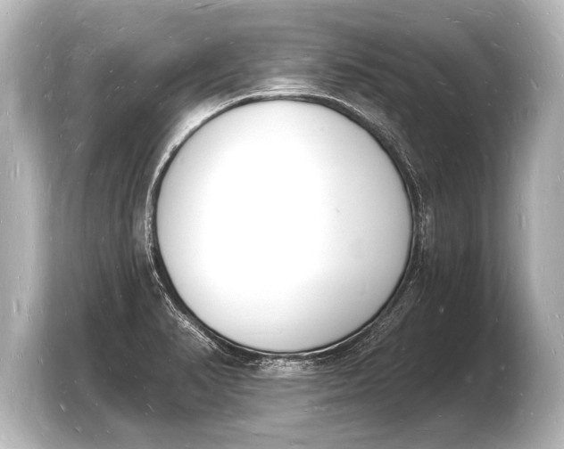 X0000103971374200810031216