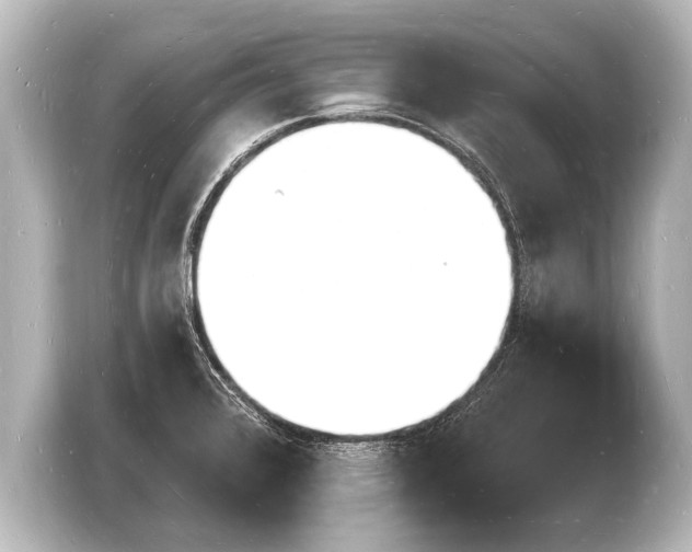 X0000103971376200810031216